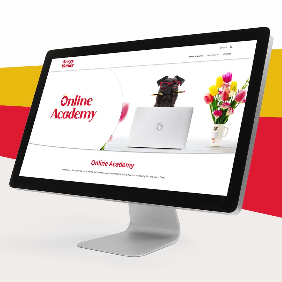 NB Wesbite Design Desktop