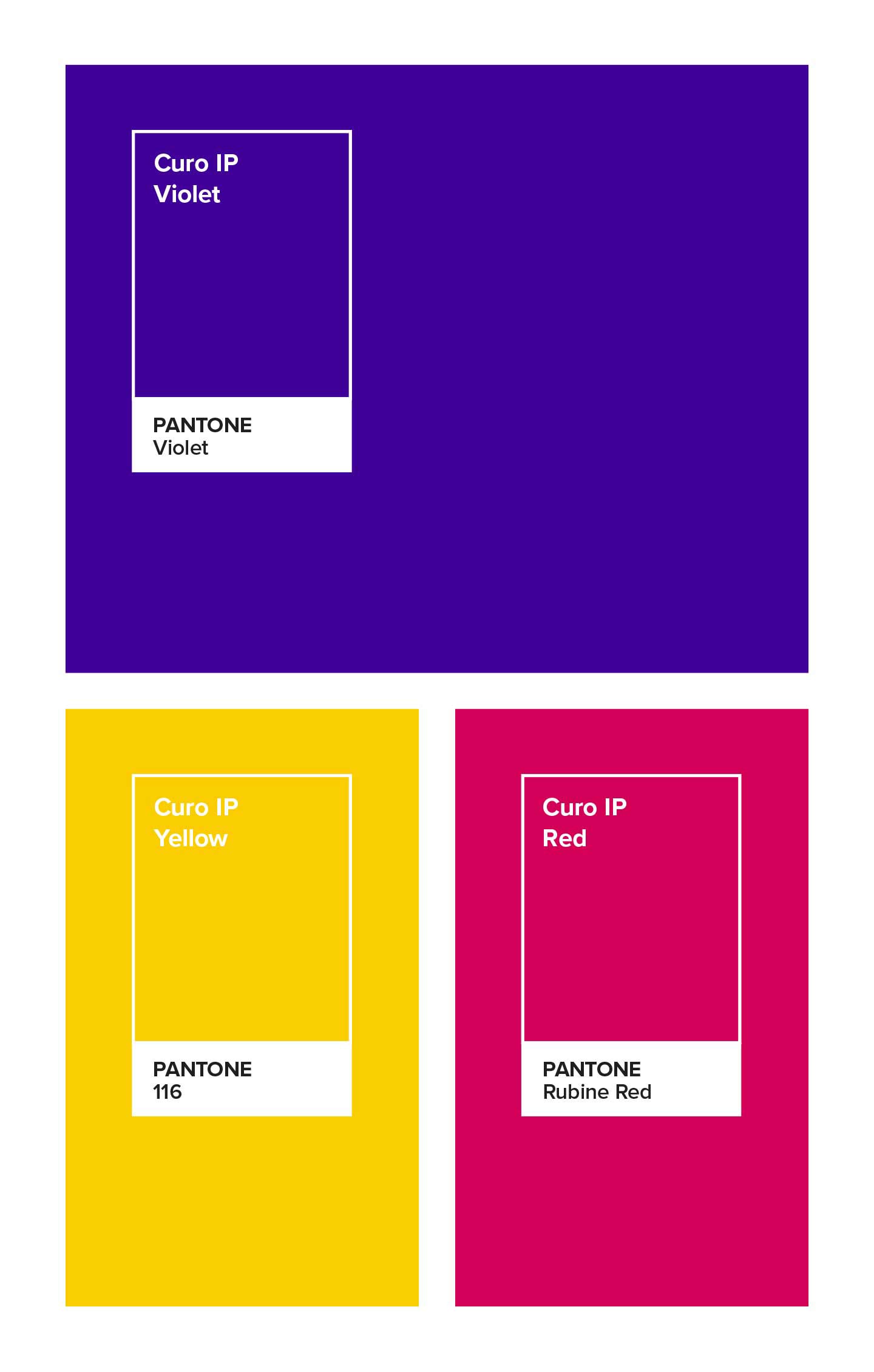 Brand Identity colours by Sensation Creative