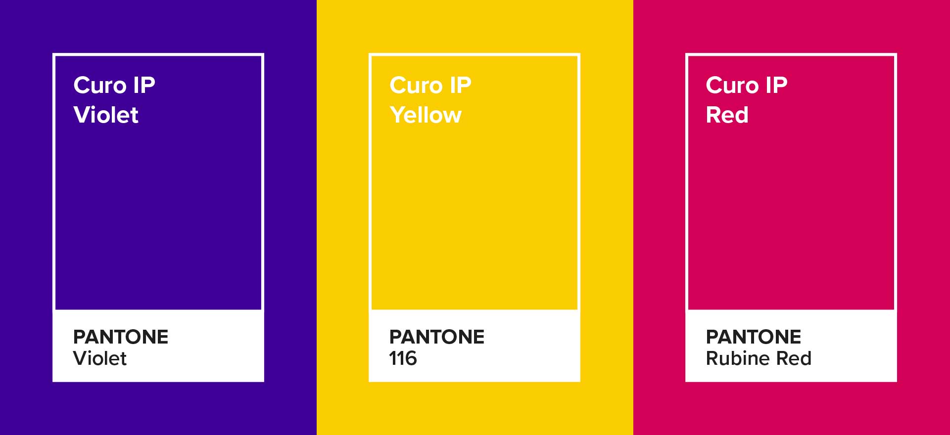 Brand Identity colours by Sensation Creative